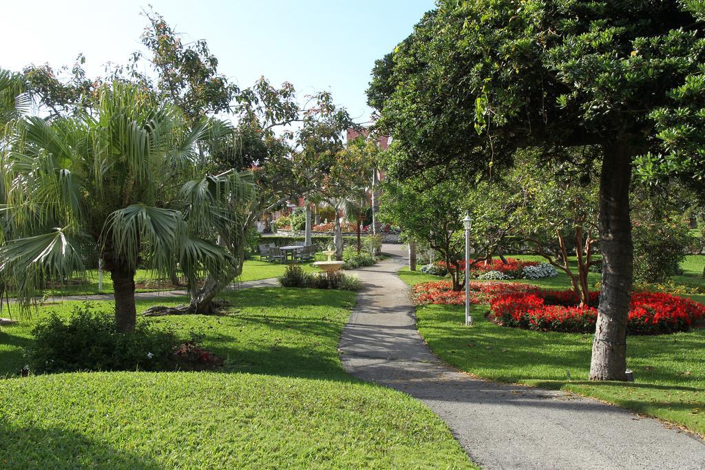 Royal Palms Hotel Hamilton City Ngoại thất bức ảnh